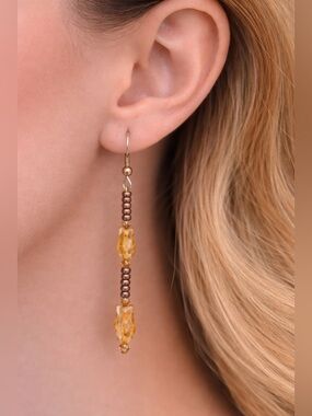 Brown and Gold Dangle Earrings